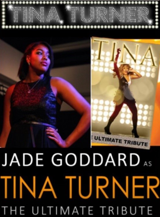 A Tribute to Tina Turner plus party set