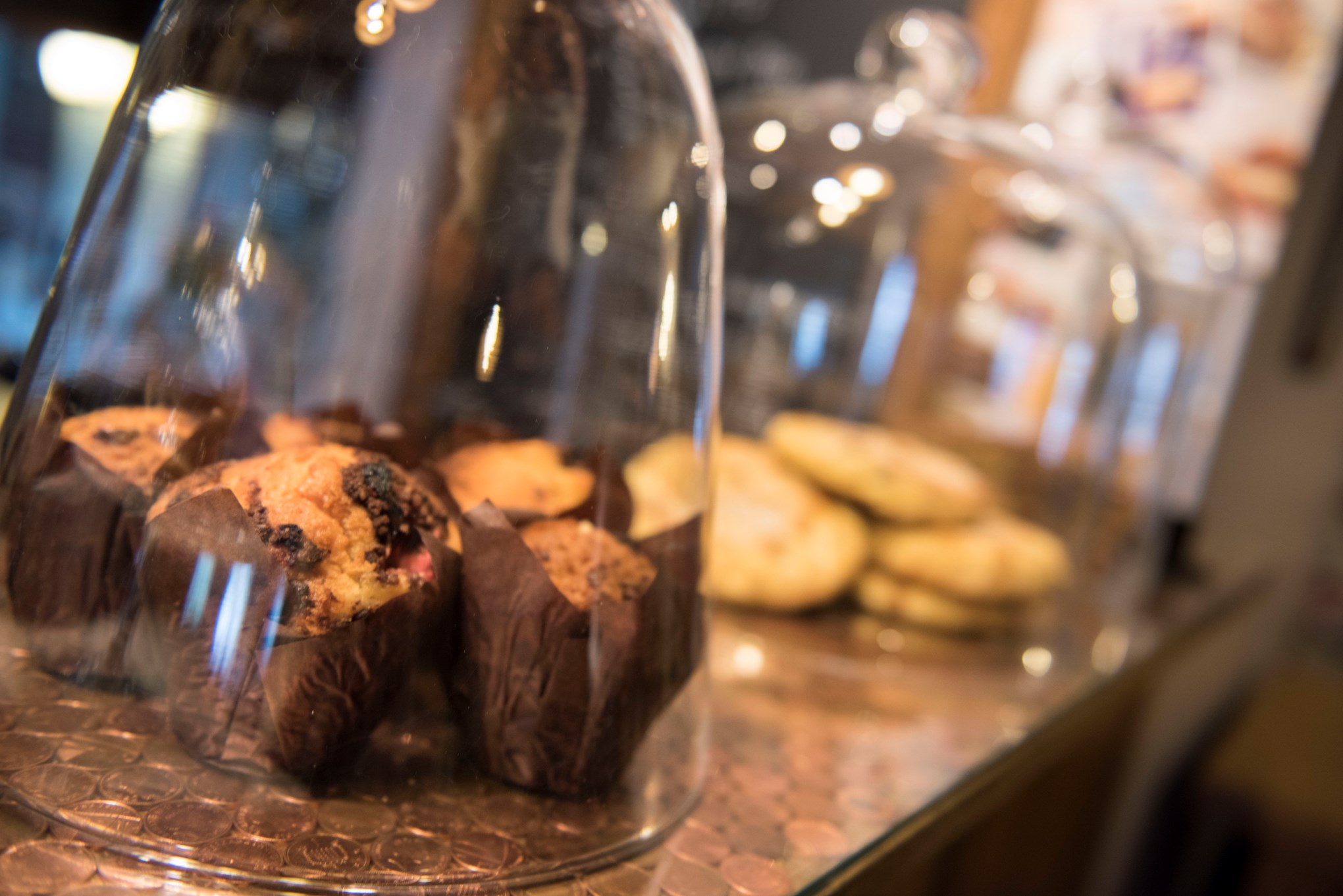 Gingerbread Workshop