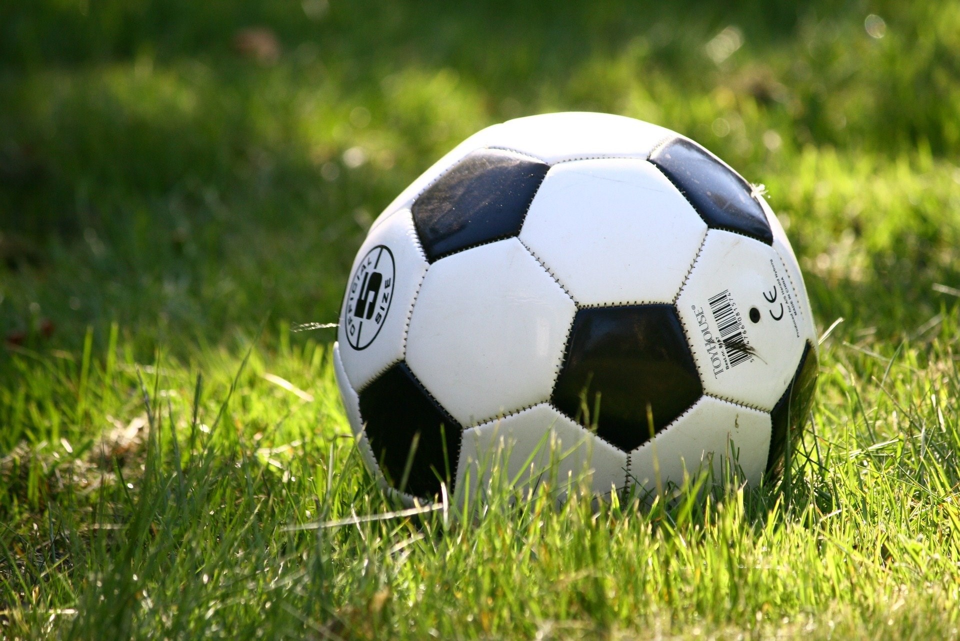 Sweden v Poland (Euro 2020)