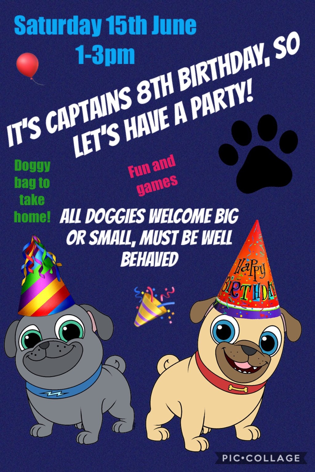 Captain the Pugs 8th Birthday party
