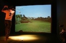 Play Golf Indoors!