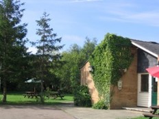 The Little Rose at Haslingfield