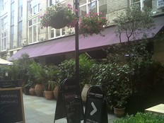 Momo, Westminster